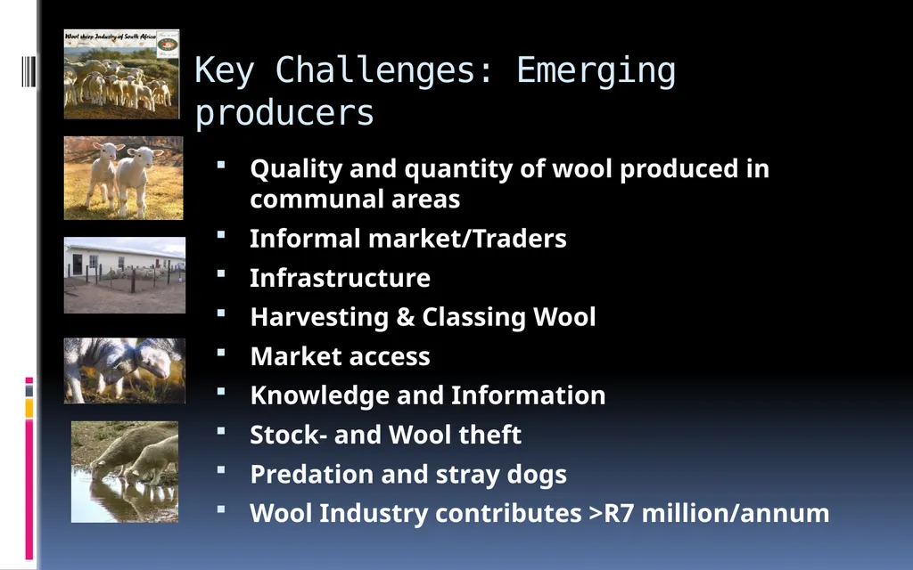 Leon de Beer: General Manager National Wool - slide 5 of 10