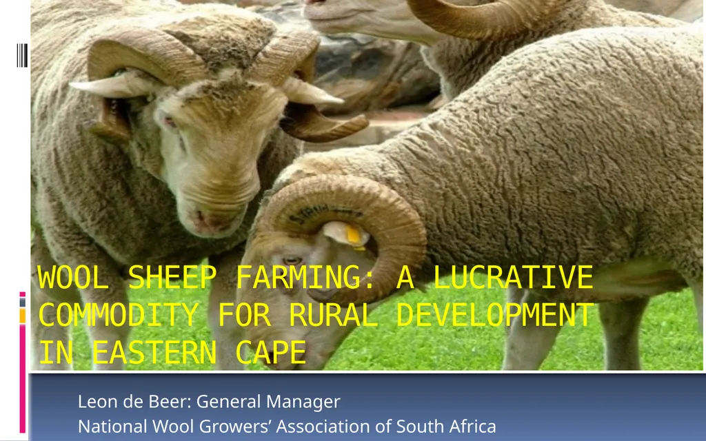 Leon de Beer: General Manager National Wool - slide 1 of 10