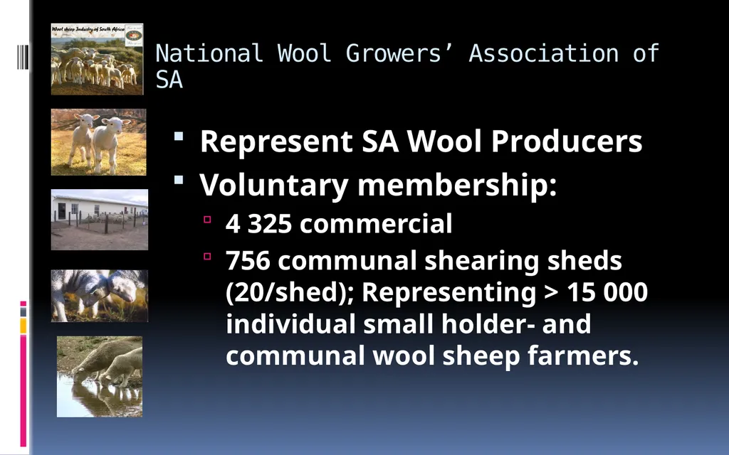 Leon de Beer: General Manager National Wool - slide 2 of 10