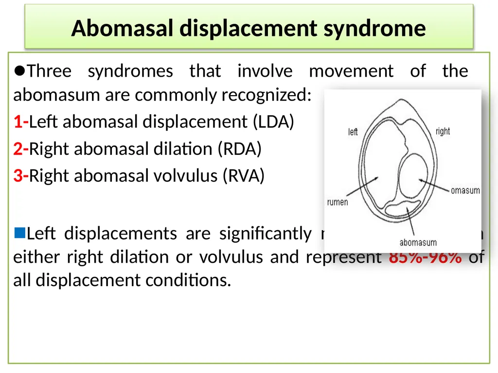 Abomasum Dr. Ashraff Waleed Abomasum causes - slide 5 of 6