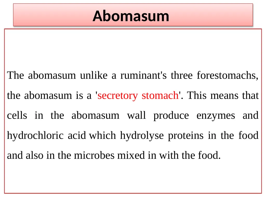 Abomasum Dr. Ashraff Waleed Abomasum causes - slide 2 of 6