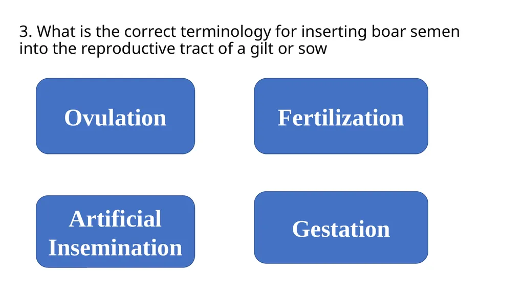 2023 Swine Reproductive Anatomy National Junior - slide 27 of 33