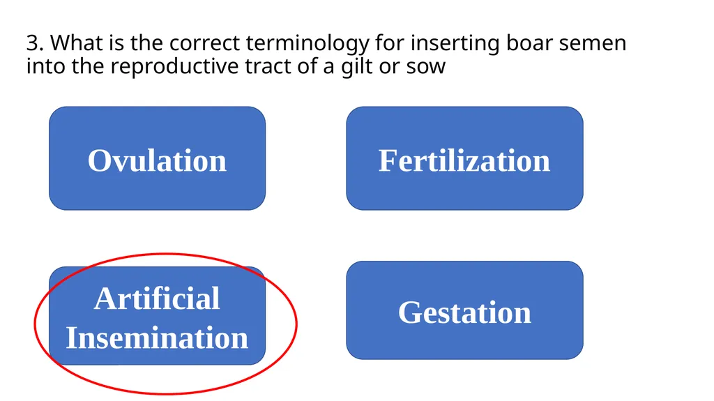 2023 Swine Reproductive Anatomy National Junior - slide 28 of 33