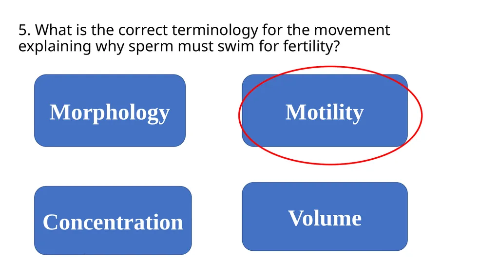 2023 Swine Reproductive Anatomy National Junior - slide 32 of 33