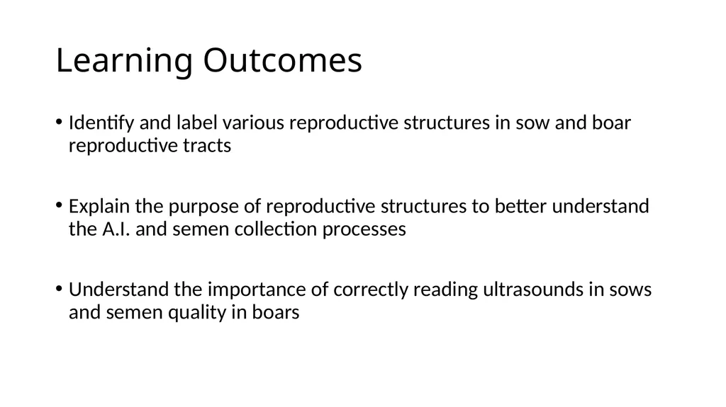 2023 Swine Reproductive Anatomy National Junior - slide 2 of 33
