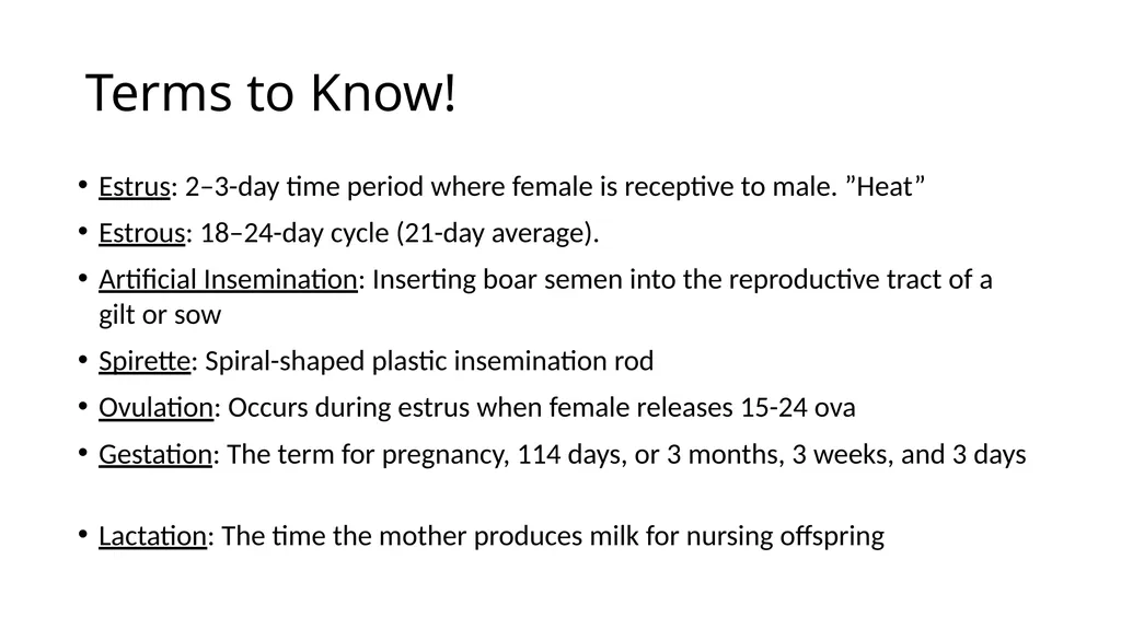 2023 Swine Reproductive Anatomy National Junior - slide 4 of 33