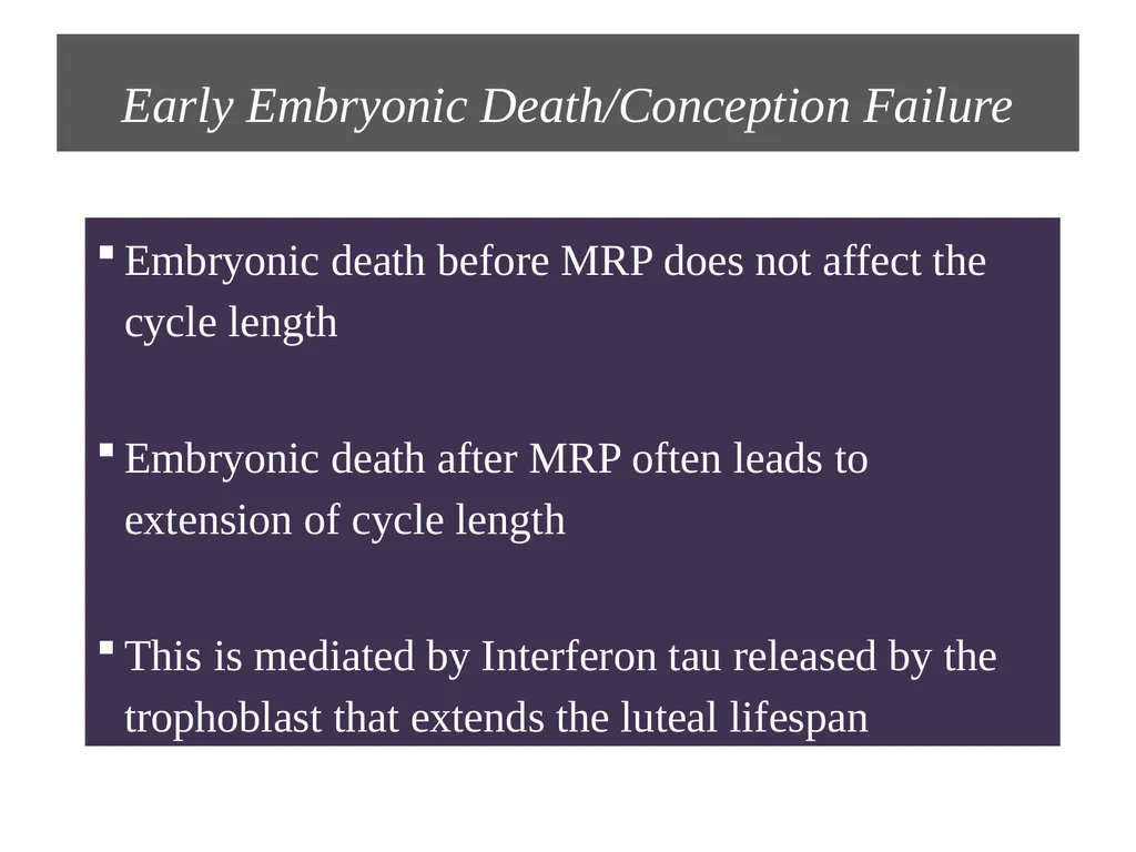 Factors Affecting the Length of Estrus Cycle Dr. - slide 16 of 17