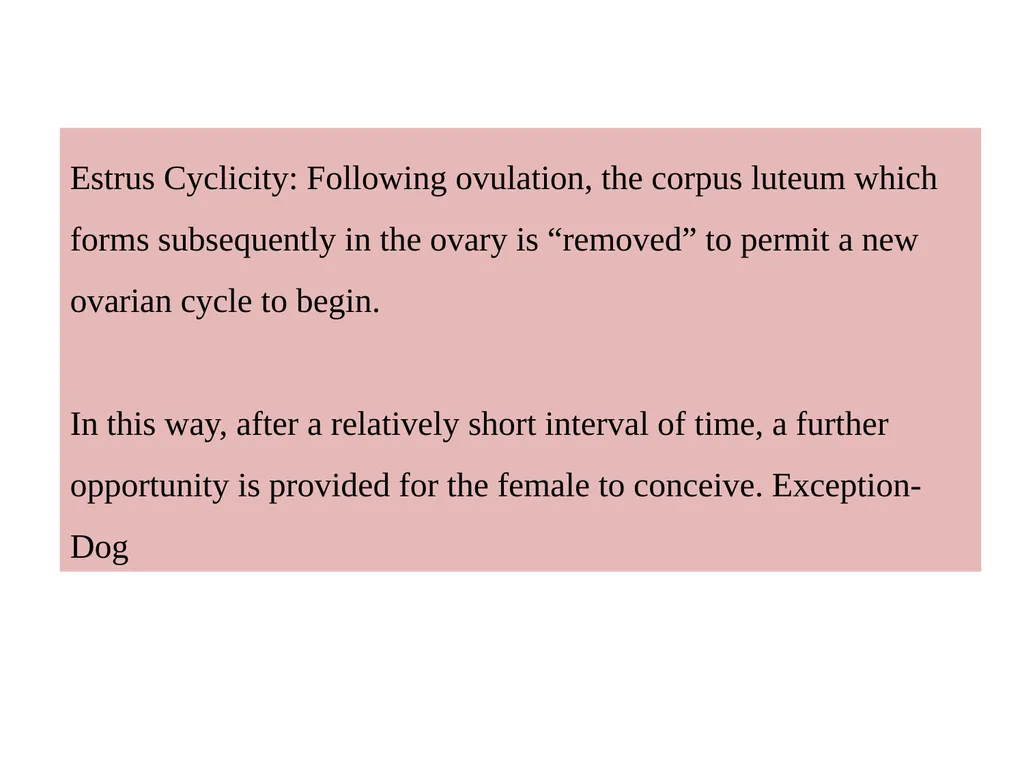 Factors Affecting the Length of Estrus Cycle Dr. - slide 2 of 17