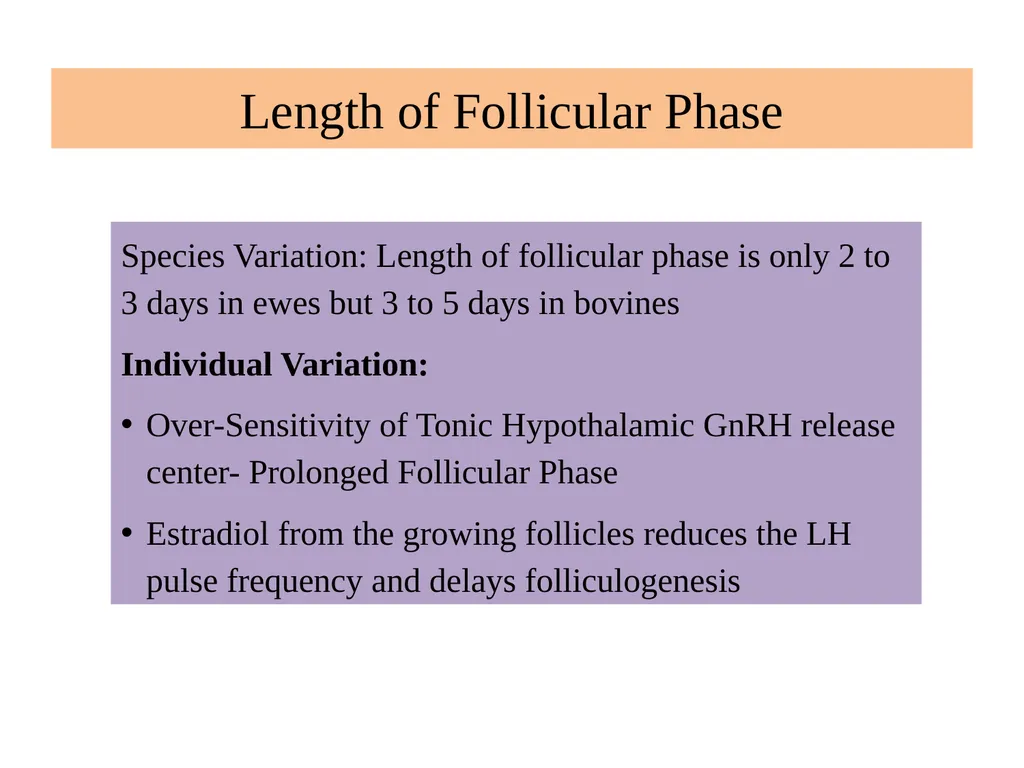 Factors Affecting the Length of Estrus Cycle Dr. - slide 10 of 17