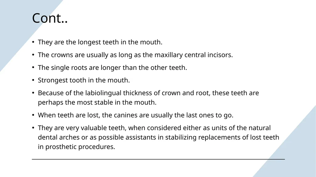 The Permanent Canines: Maxillary and Mandibular - slide 3 of 36