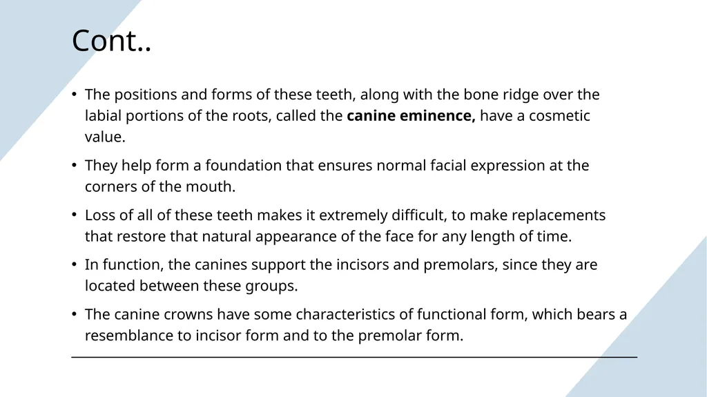 The Permanent Canines: Maxillary and Mandibular - slide 4 of 36