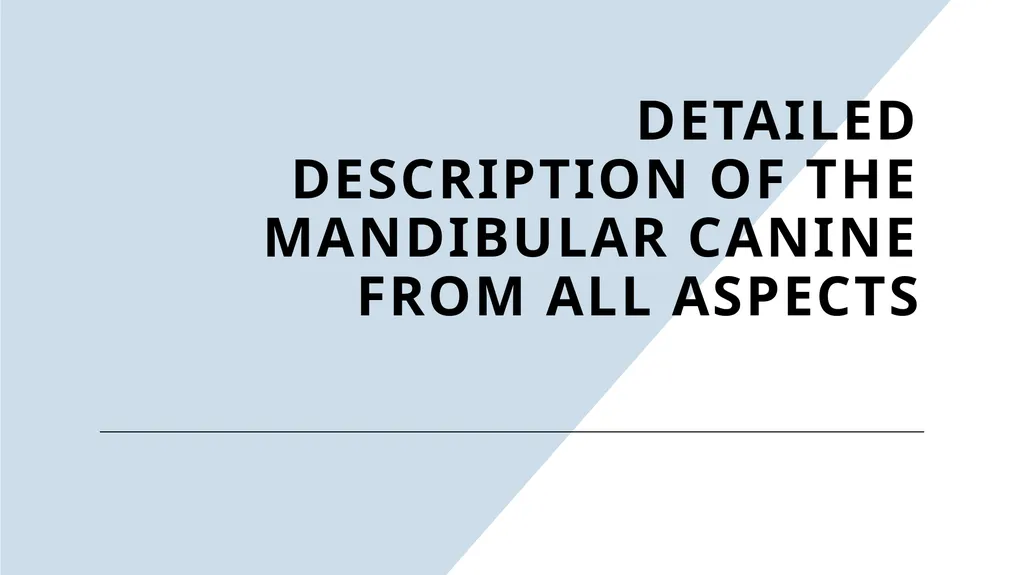 The Permanent Canines: Maxillary and Mandibular - slide 25 of 36
