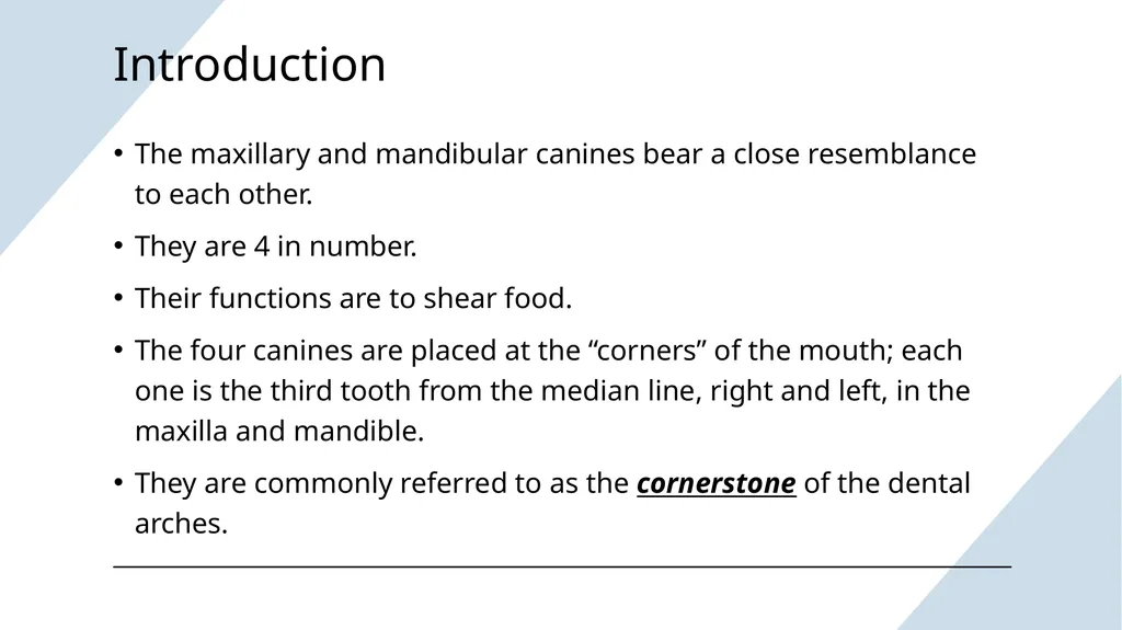 The Permanent Canines: Maxillary and Mandibular - slide 2 of 36