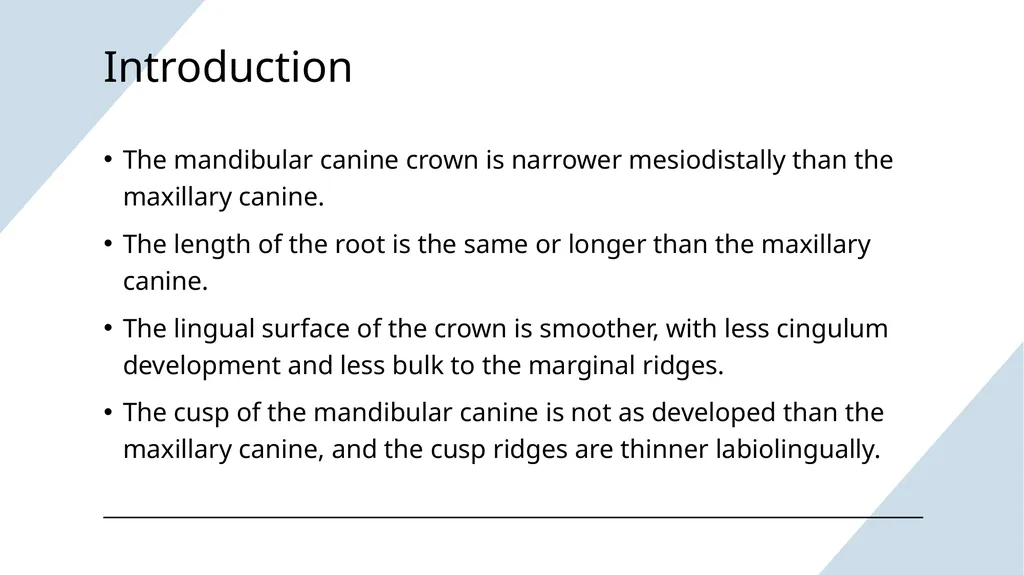 The Permanent Canines: Maxillary and Mandibular - slide 23 of 36