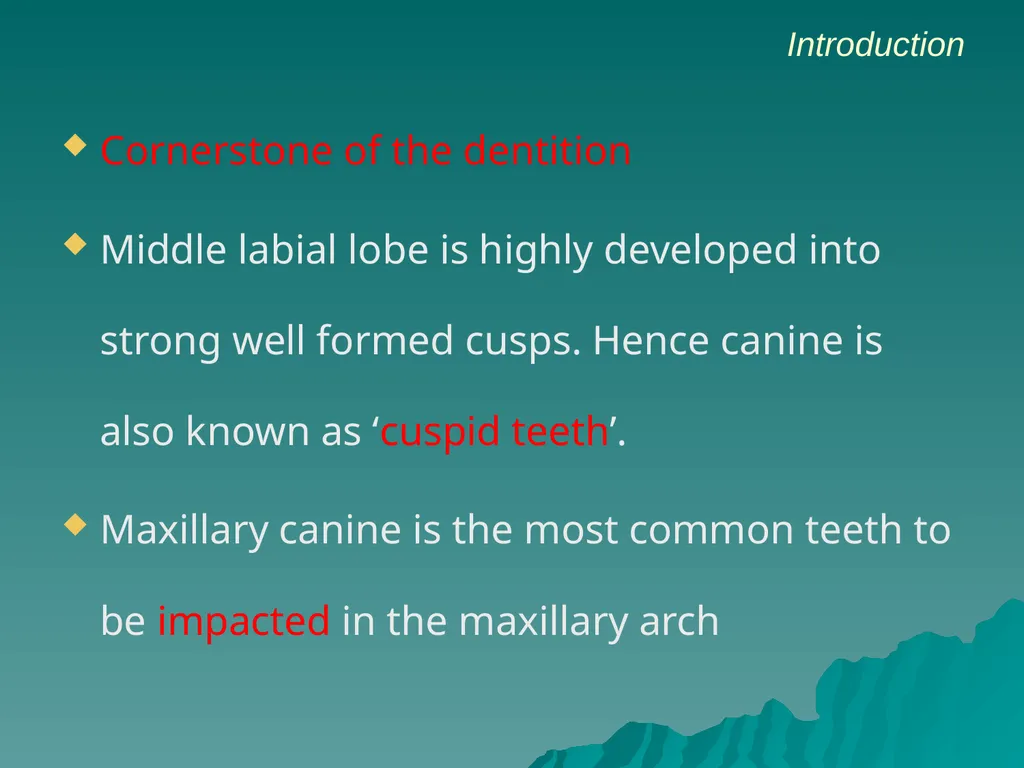MORPHOLOGY OF PERMANENT CANINES INTRODUCTION Four - slide 3 of 22