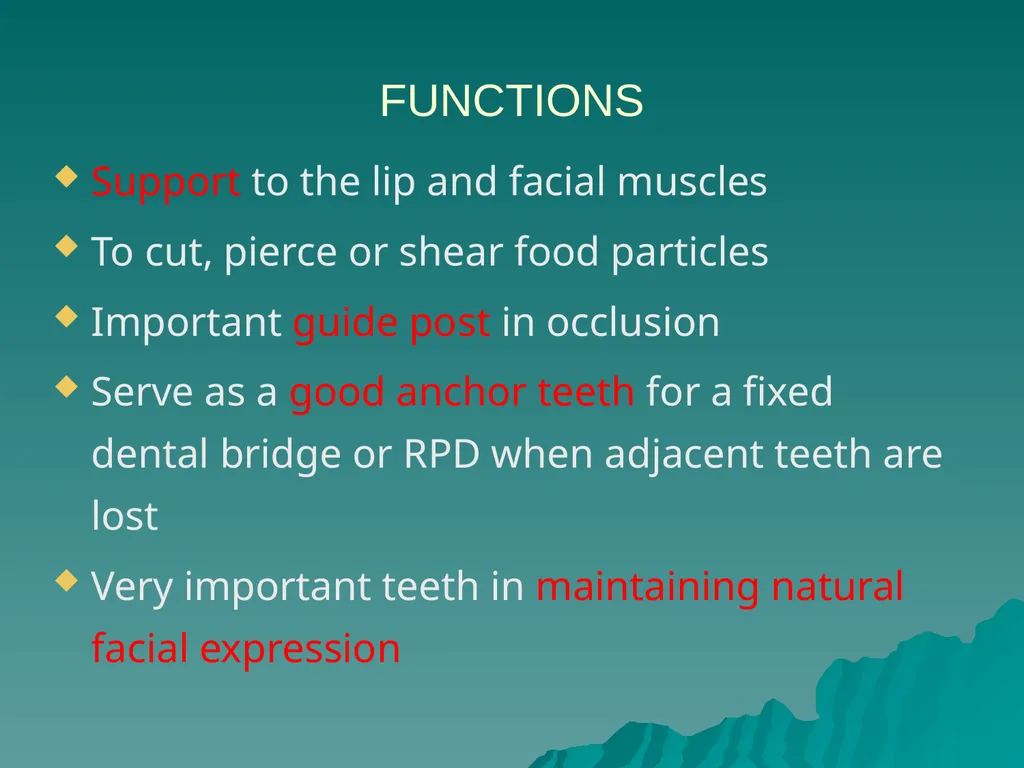 MORPHOLOGY OF PERMANENT CANINES INTRODUCTION Four - slide 4 of 22