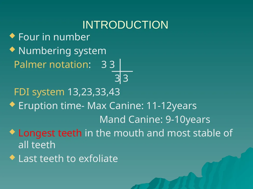 MORPHOLOGY OF PERMANENT CANINES INTRODUCTION Four - slide 2 of 22