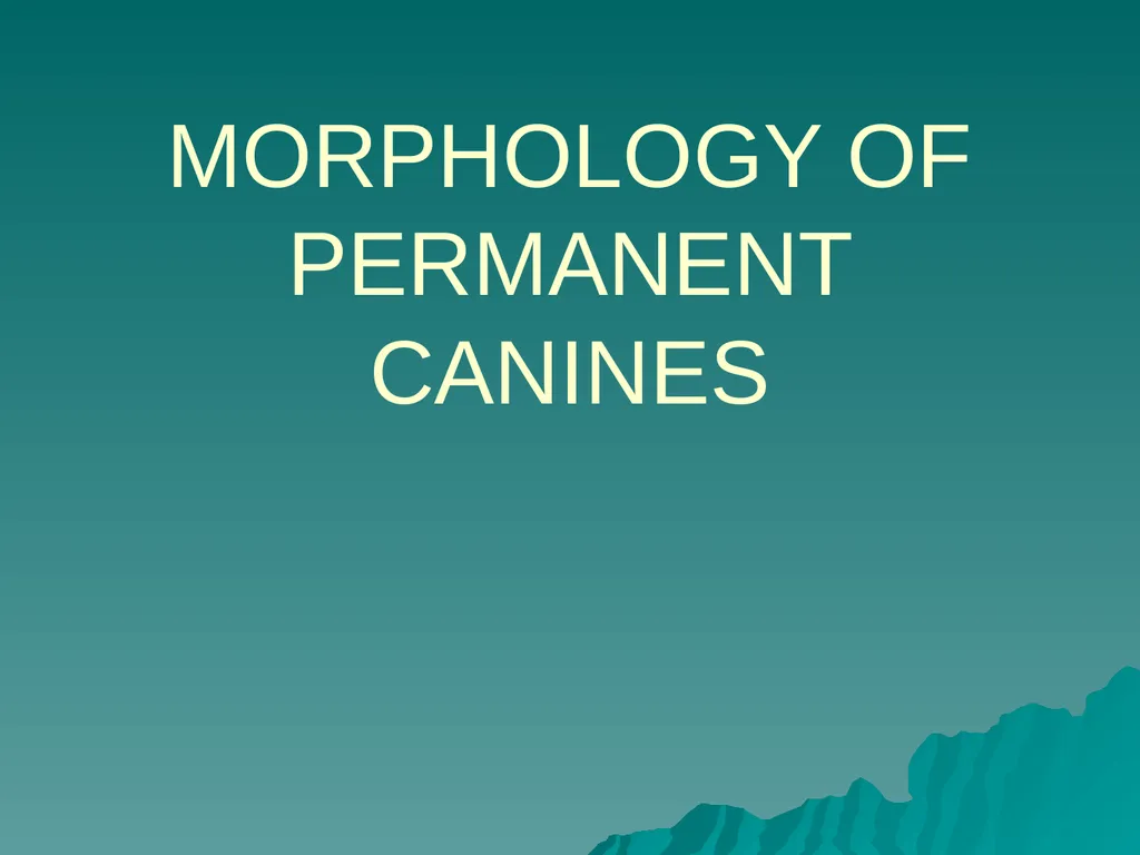 MORPHOLOGY OF PERMANENT CANINES INTRODUCTION Four - slide 1 of 22