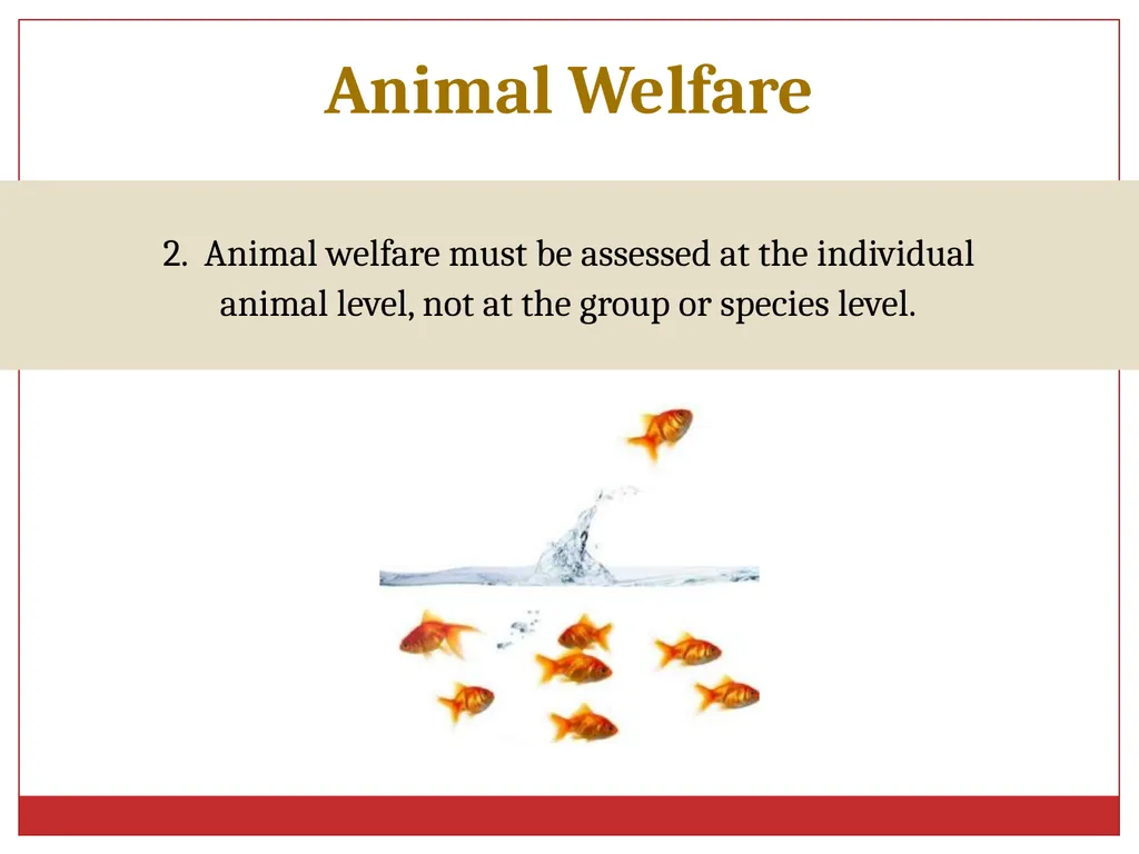 Ethics in Veterinary Medicine What is Ethics? - slide 21 of 30