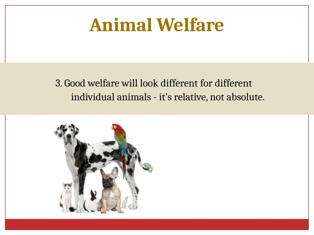 Ethics in Veterinary Medicine What is Ethics? - slide 22 of 30