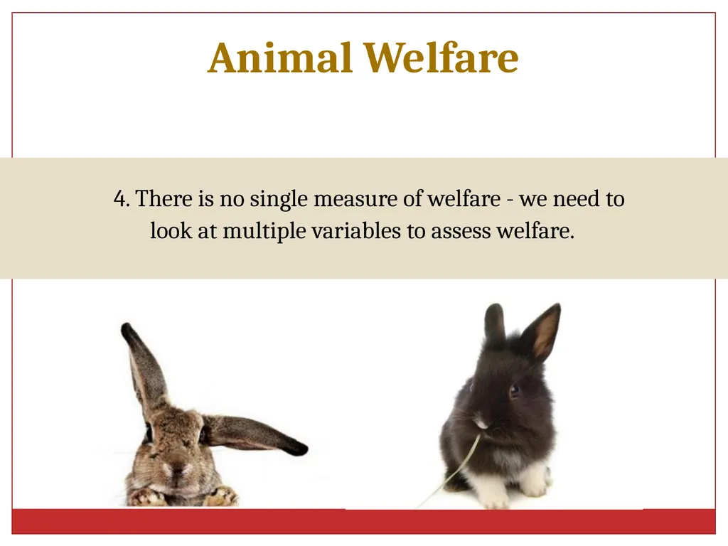 Ethics in Veterinary Medicine What is Ethics? - slide 23 of 30