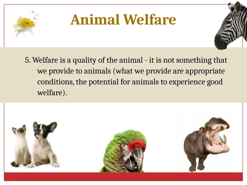 Ethics in Veterinary Medicine What is Ethics? - slide 24 of 30
