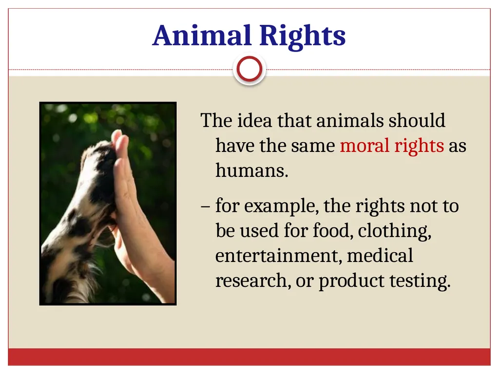 Ethics in Veterinary Medicine What is Ethics? - slide 12 of 30