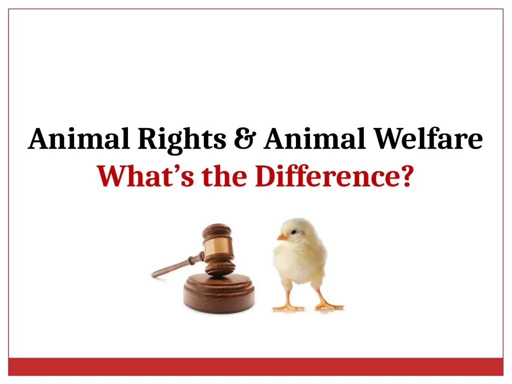 Ethics in Veterinary Medicine What is Ethics? - slide 11 of 30
