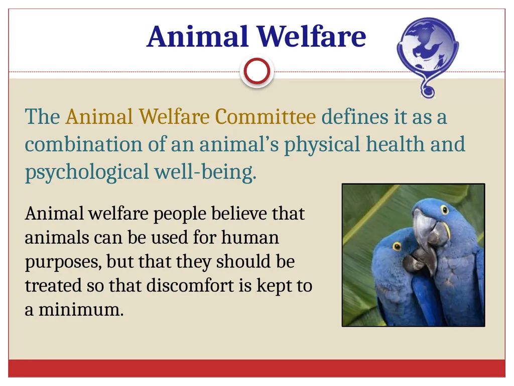 Ethics in Veterinary Medicine What is Ethics? - slide 17 of 30