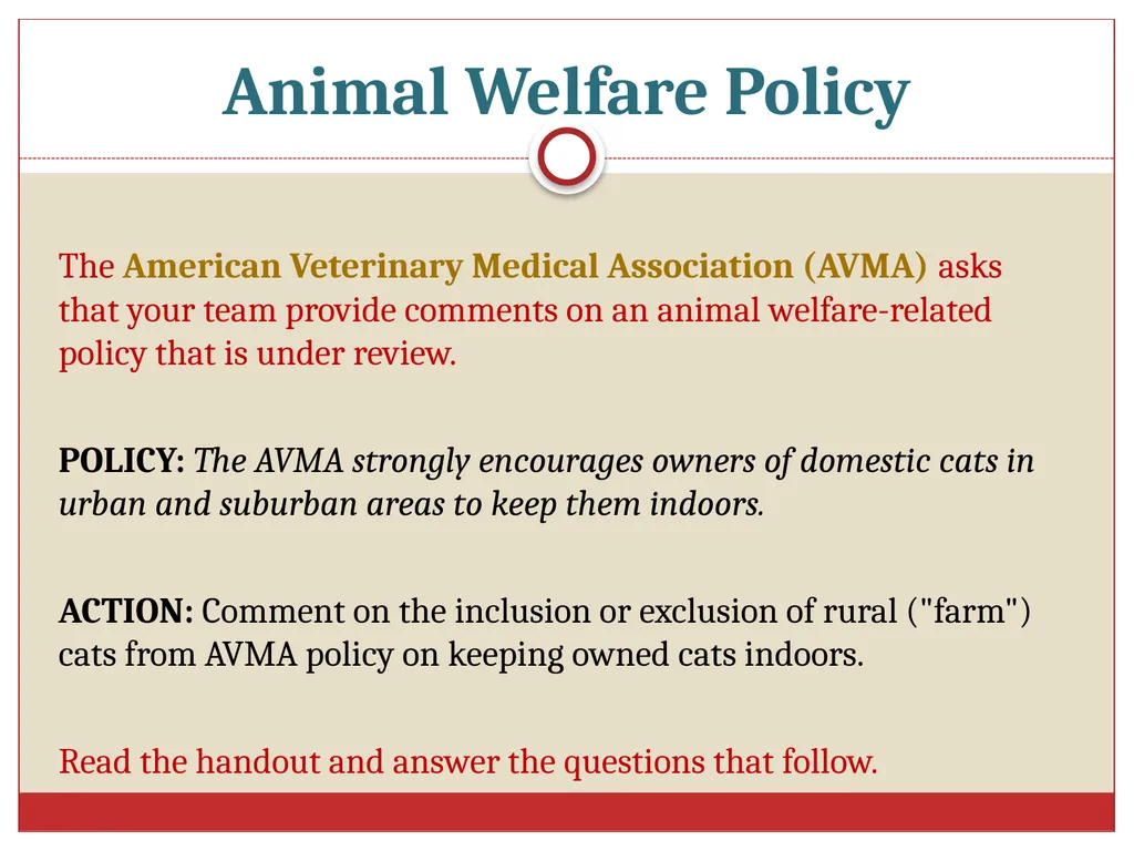 Ethics in Veterinary Medicine What is Ethics? - slide 25 of 30