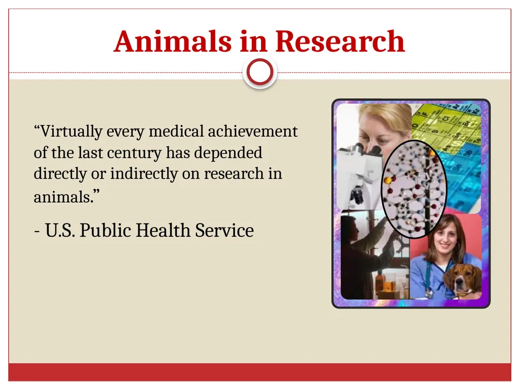 Ethics in Veterinary Medicine What is Ethics? - slide 27 of 30