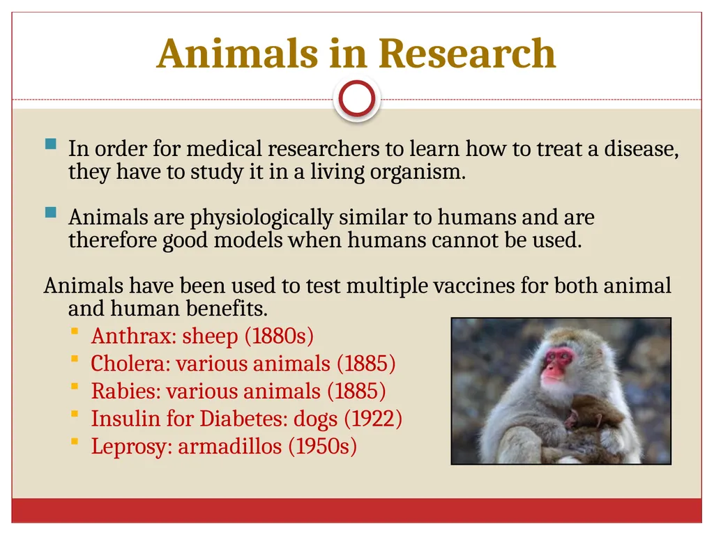 Ethics in Veterinary Medicine What is Ethics? - slide 28 of 30