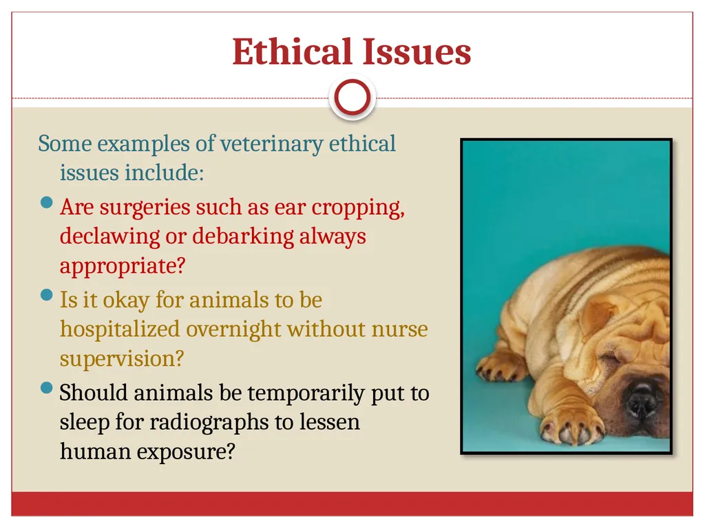 Ethics in Veterinary Medicine What is Ethics? - slide 3 of 30