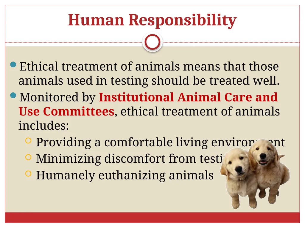 Ethics in Veterinary Medicine What is Ethics? - slide 29 of 30