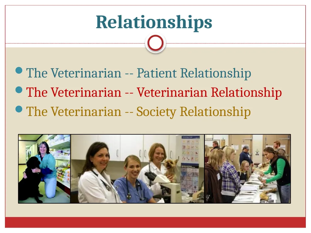 Ethics in Veterinary Medicine What is Ethics? - slide 7 of 30