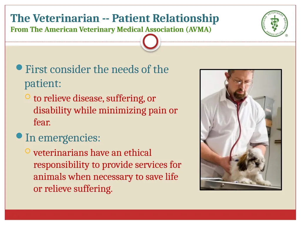 Ethics in Veterinary Medicine What is Ethics? - slide 8 of 30