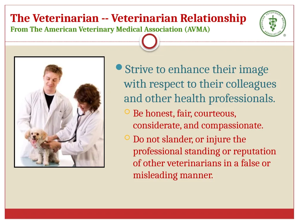 Ethics in Veterinary Medicine What is Ethics? - slide 9 of 30