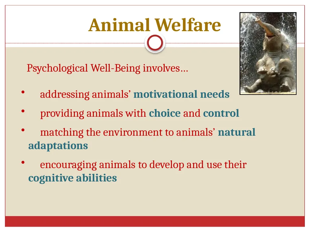 Ethics in Veterinary Medicine What is Ethics? - slide 19 of 30