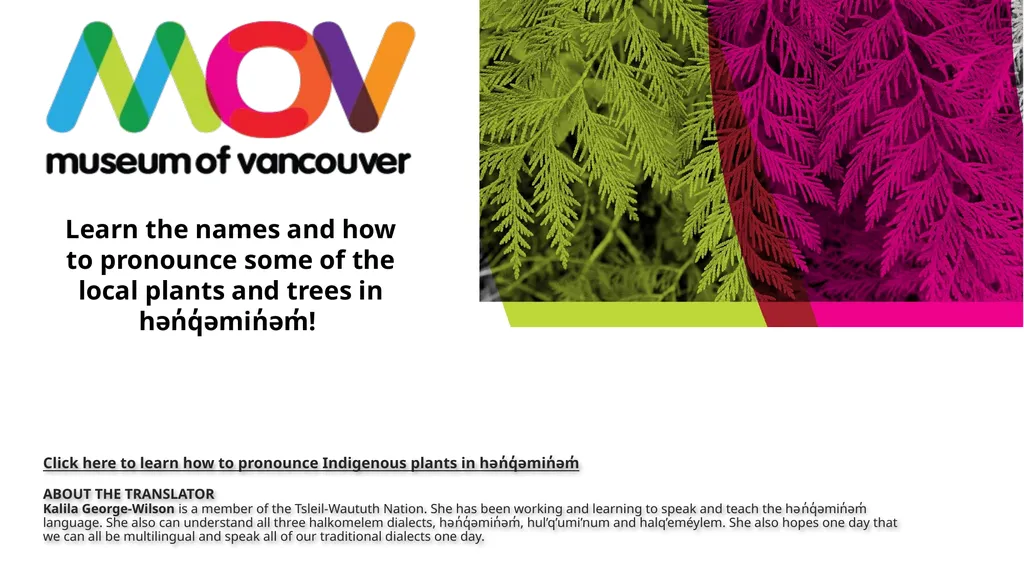 Indigenous Virtual Lesson January 20, 2023 by - slide 11 of 15