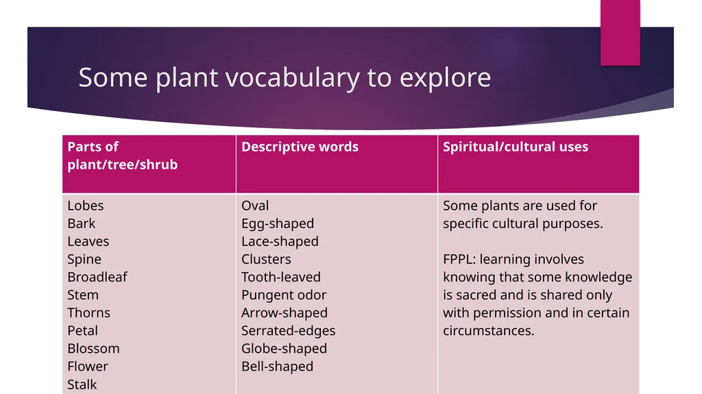 Connecting Indigenous Knowledge and Outdoor - slide 7 of 27