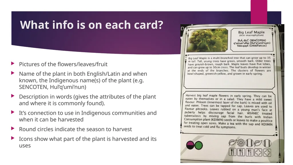 Connecting Indigenous Knowledge and Outdoor - slide 5 of 27