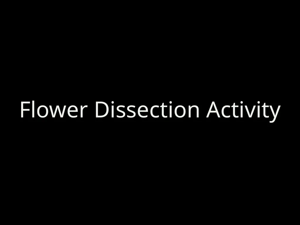 Parts Of A Flower- Structure and Function - slide 7 of 11