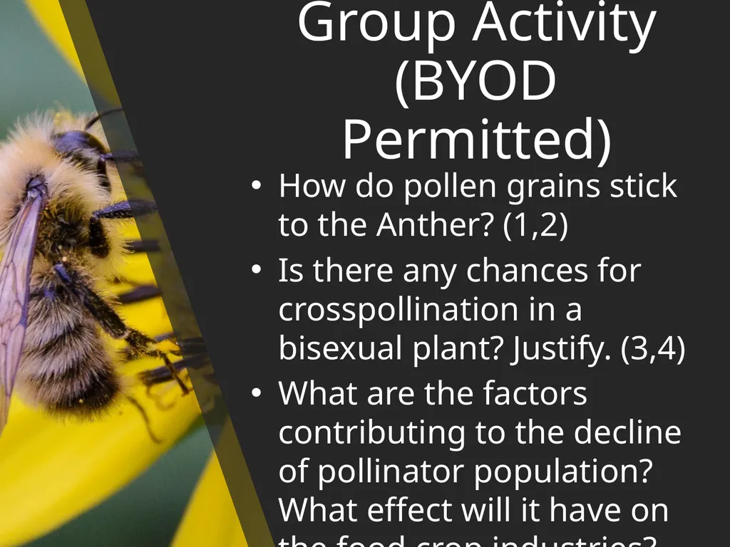 Parts Of A Flower- Structure and Function - slide 10 of 11