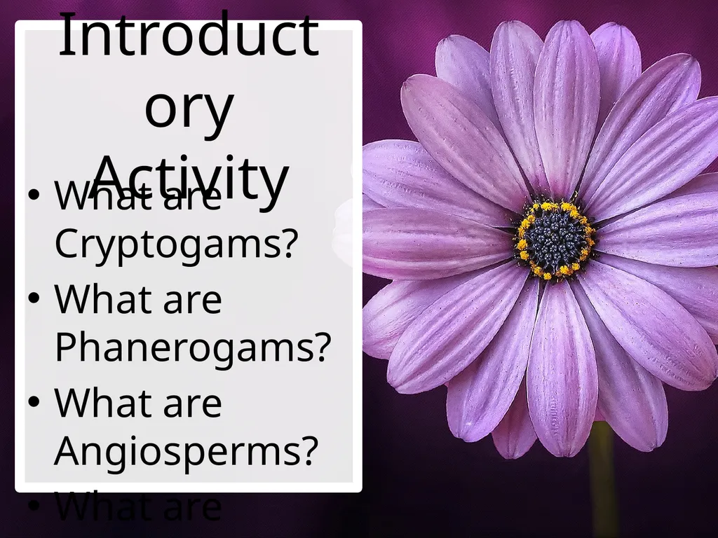 Parts Of A Flower- Structure and Function - slide 4 of 11