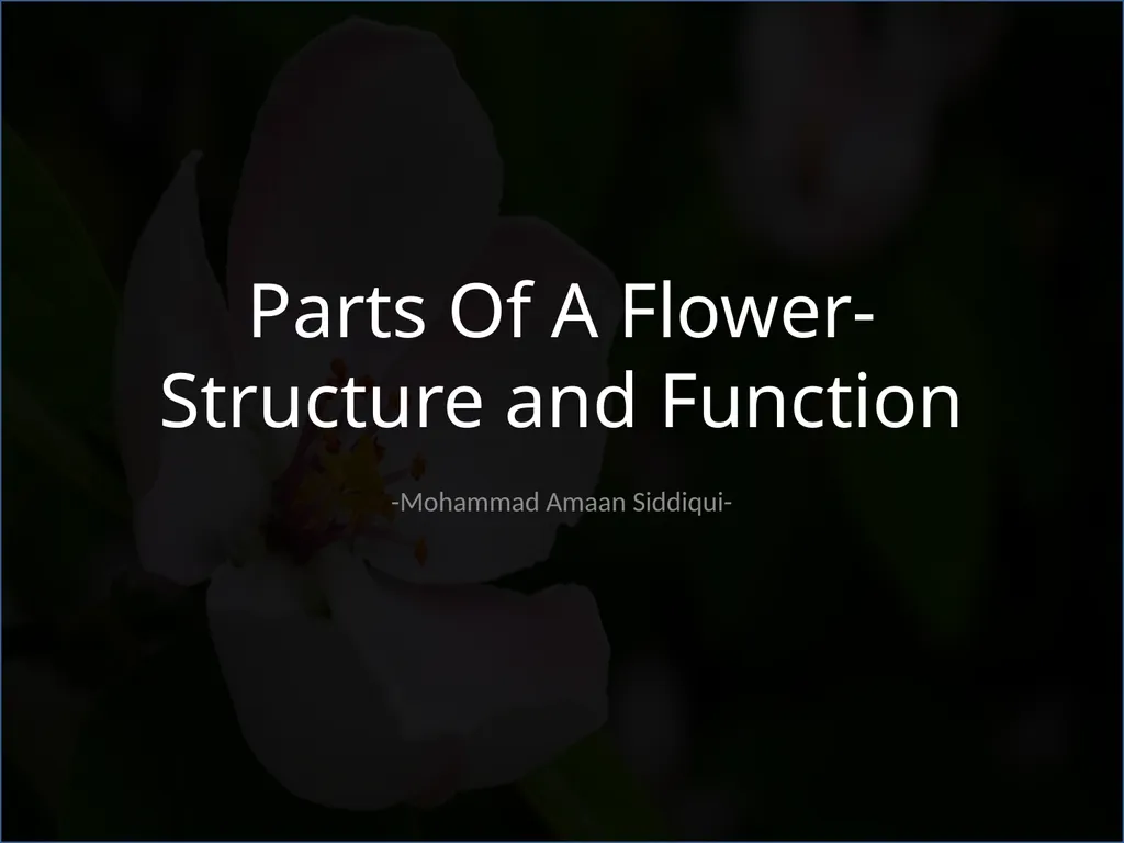 Parts Of A Flower- Structure and Function - slide 1 of 11