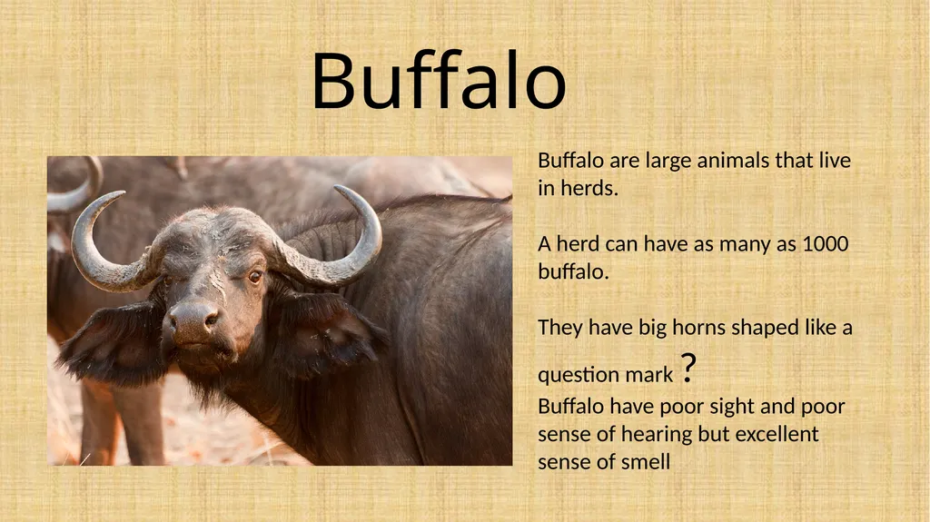 Topic: Week 9 - Friday 26.06.20 L.O: To know - slide 3 of 8