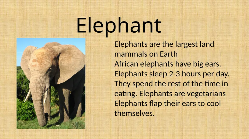 Topic: Week 9 - Friday 26.06.20 L.O: To know - slide 5 of 8