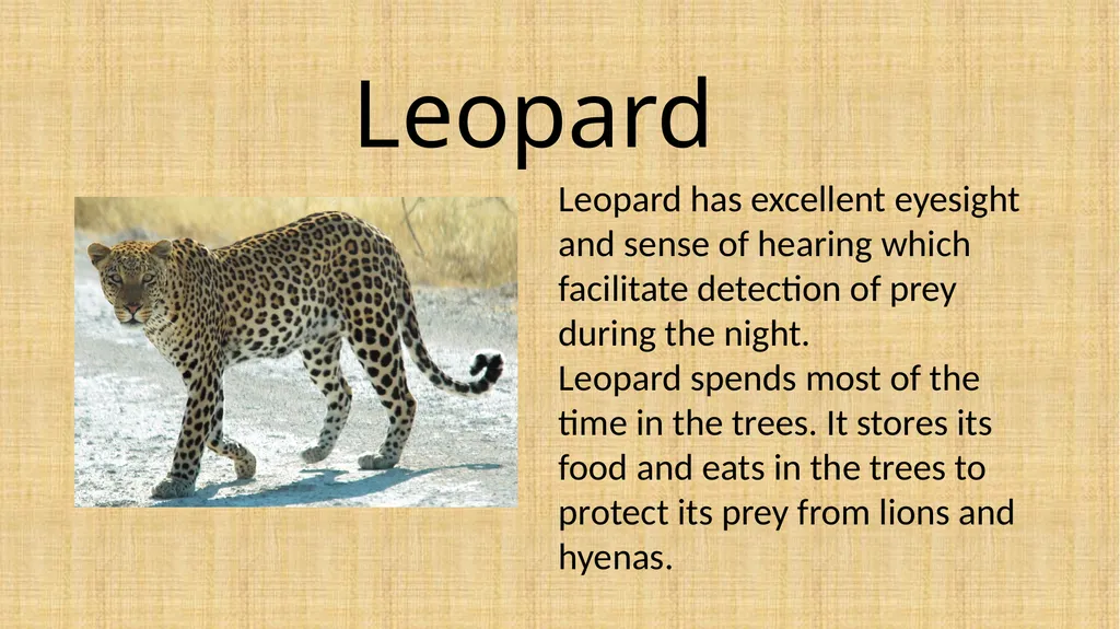 Topic: Week 9 - Friday 26.06.20 L.O: To know - slide 7 of 8