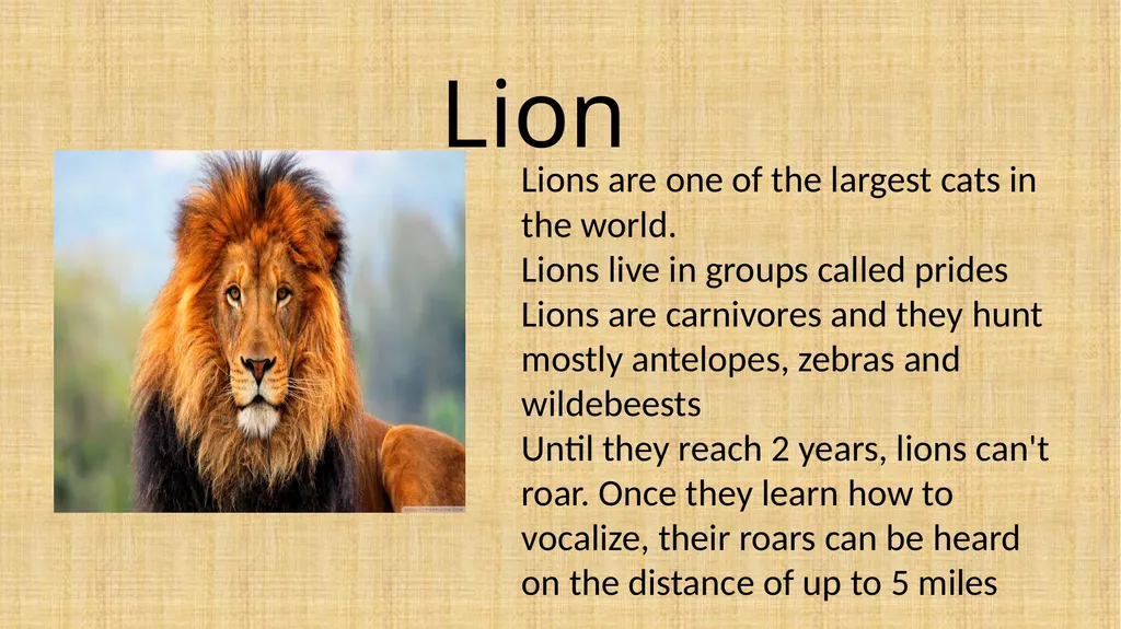 Topic: Week 9 - Friday 26.06.20 L.O: To know - slide 6 of 8