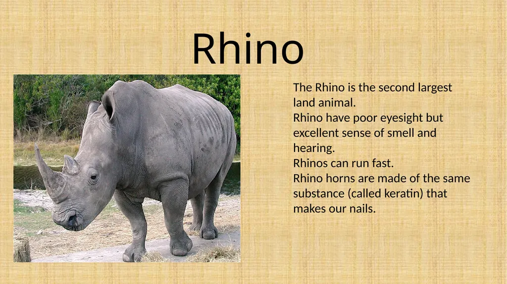 Topic: Week 9 - Friday 26.06.20 L.O: To know - slide 4 of 8